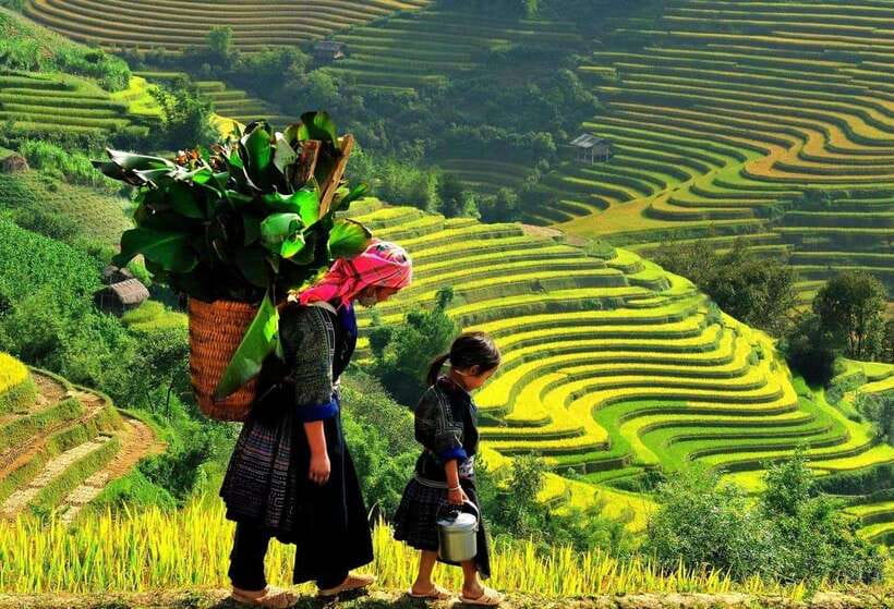 Easy Trek in Sapa mountain : Y Linh Ho - Lao Chai - Ta Van - From Hoàng Văn Thụ to the trail: quick, organized start