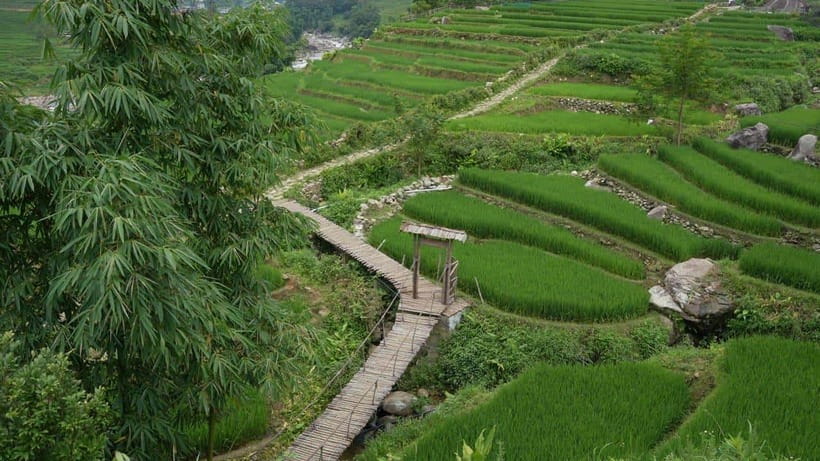 Easy Trek in Sapa mountain : Y Linh Ho - Lao Chai - Ta Van - Y Linh Ho: rice terraces you’ll talk about later