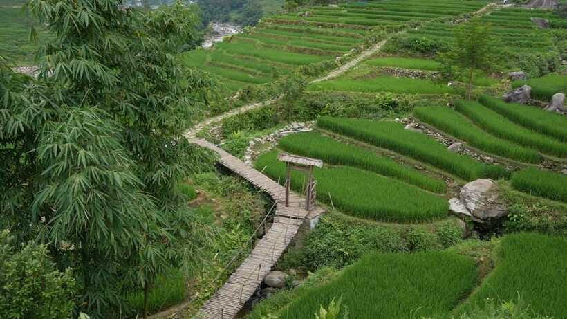 Easy Trek in Sapa mountain : Y Linh Ho - Lao Chai - Ta Van - Ta Van and the Giay community: finishing with understanding