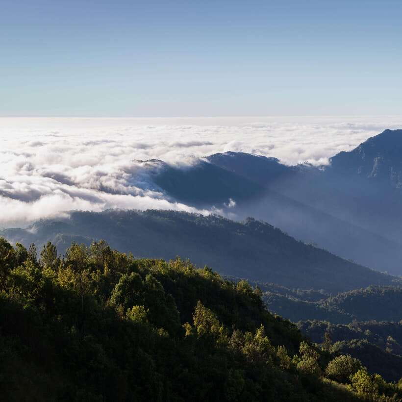 Eco-Friendly: Doi Inthanon & Pha Dok Siew Trekking Day Trip - Lunch inside Doi Inthanon: refuel before the village and waterfall
