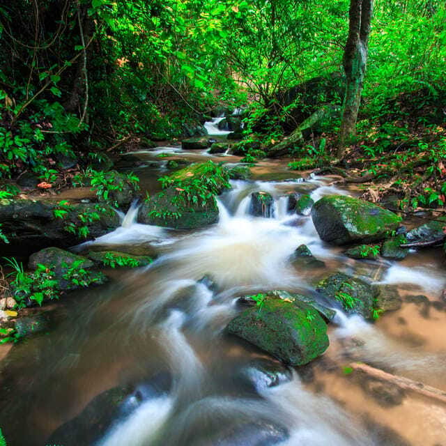 Eco-Friendly: Doi Inthanon & Pha Dok Siew Trekking Day Trip - Wachirathan Waterfall: the day’s standout, swim included