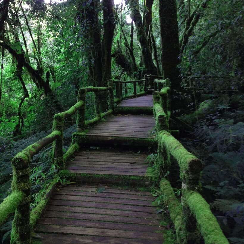 Eco-Friendly: Doi Inthanon & Pha Dok Siew Trekking Day Trip - Price and entrance fees: where the real cost lands