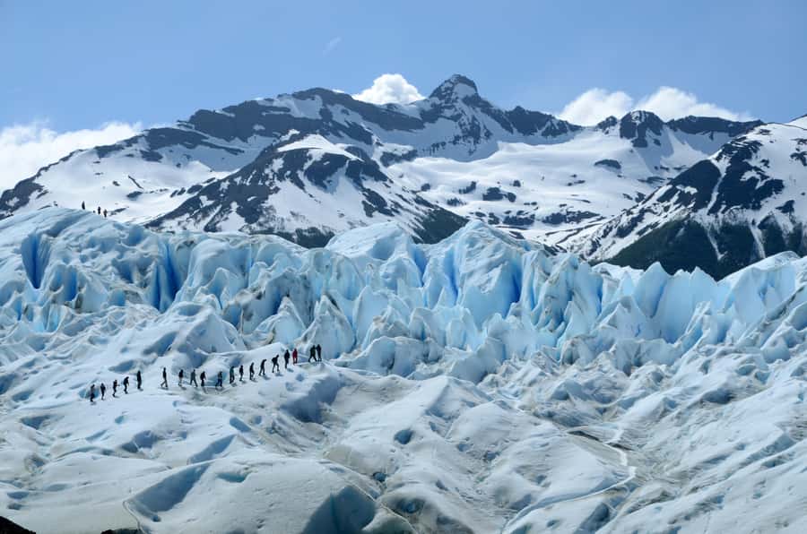 El Calafate: Perito Moreno Glacier Trekking Tour and Cruise - Magellanic forest refuge stop and lunch reality