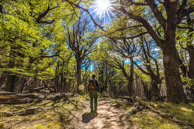 El Chaltén with Trekking from El Calafate - Mirador de los Condores: the 30-minute hike with the biggest payoff