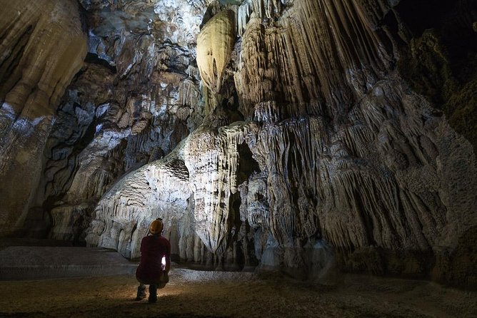 Elephant Cave and Ma Da Valley Jungle 1 Day Trek - Phong Nha-Ke Bang in One Day: What This Trek Really Delivers