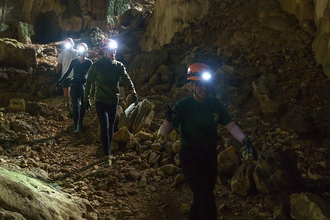 Elephant Cave and Ma Da Valley Jungle 1 Day Trek - Morning Pickup From Phong Nha and the Rules Briefing That Matters