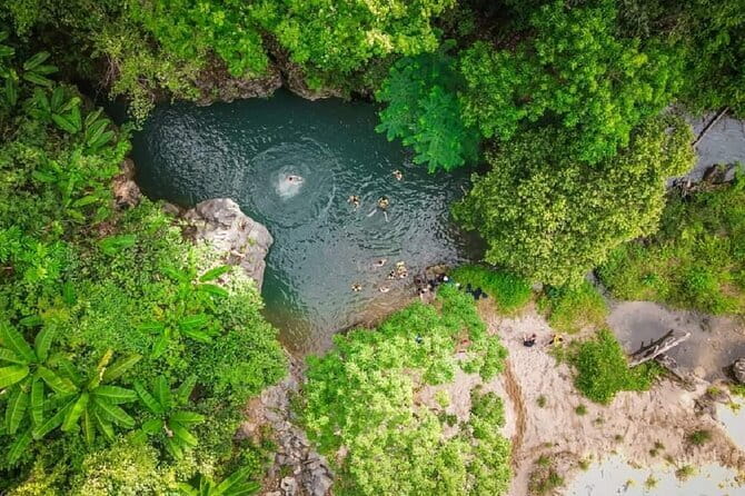 Elephant cave and Mada valley Jungle trek - 1Day - Key Highlights You’ll Feel Right Away