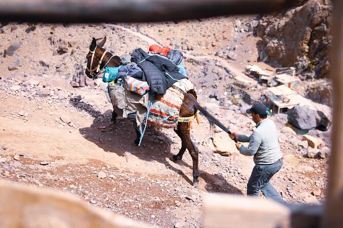 Elite Experience Atlas Mountains Day Trekking - Marrakech Pickup and the Drive Toward Imlil’s Trailheads
