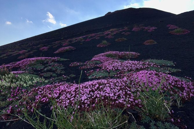 Etna Grantour - 4x4 & trekking - Private tour with lunch included - The 9-hour flow: how the stops fit together