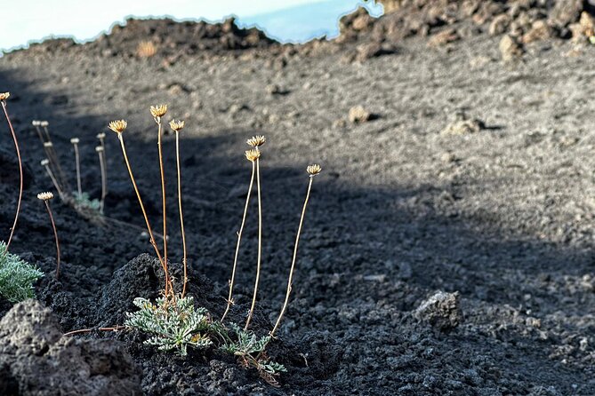 Etna Morning or Sunset - Trek & Lava Tunnel with Gear - Gear that actually matters on Etna (and what’s optional)