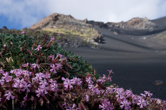 Etna's Hidden Gems - Trek Valle Bove & Lava Tunnel with Gear - Craters Silvestri Around 1,900 m: Quick Context With Big Visual Payoff