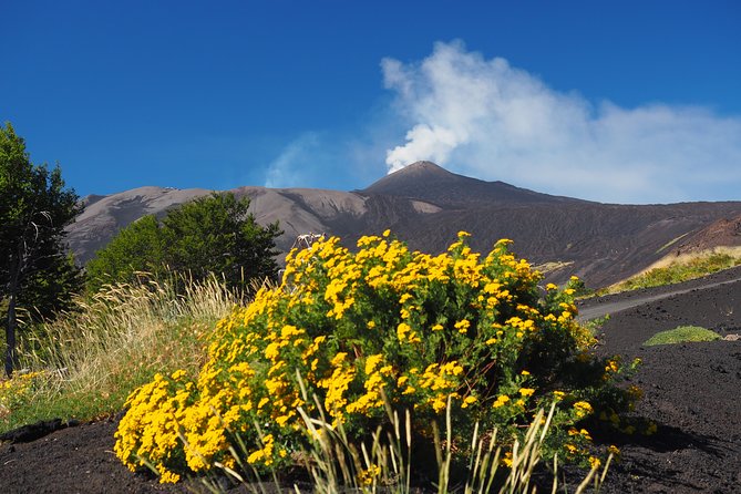 ETNA - Trekking to the Craters Eruption of 2002 - Price and value: what $36.14 buys you