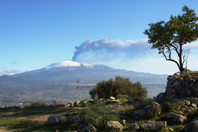 Etna: Trekking to the summit craters at 3,340 meters - The real budget question: the €82 cable car and 4x4 add-on