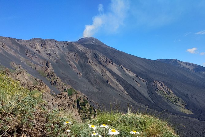 Etna trekking tour - Price and Value: Is $145.12 a Good Deal?
