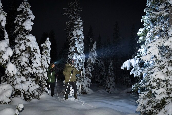 Evening Ski Trek to the Wilderness - Extra Small group - Key takeaways before you go