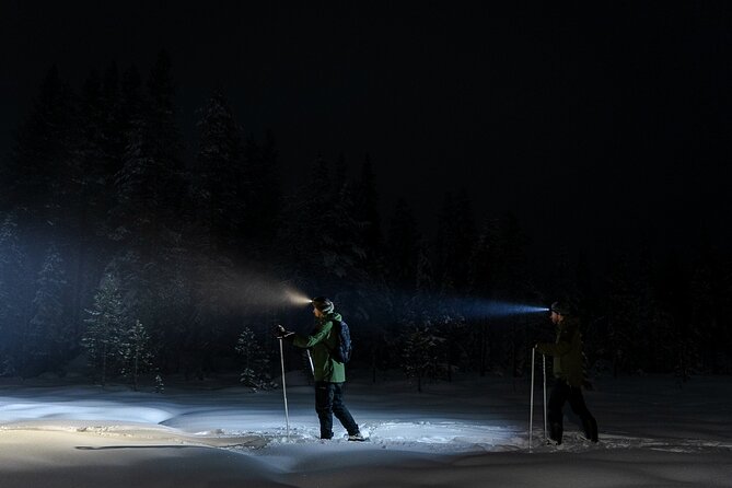 Evening Ski Trek to the Wilderness - Extra Small group - Stop 1 in Perunkajärvi: kota arrival, fire, and grill snack comfort