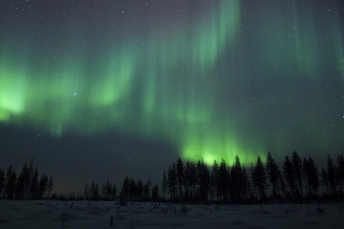 Evening Ski Trek to the Wilderness - Extra Small group - The 3-hour trek: ski basics first, then forest + frozen swamp