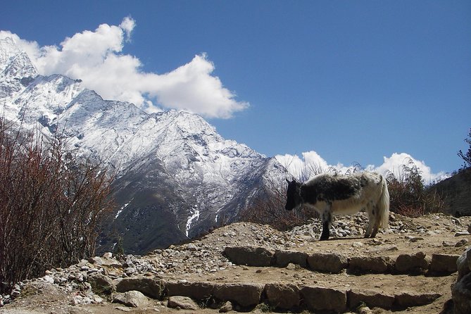 Everest Base Camp - Cho La Pass - Gokyo Trek - Kathmandu start: pickup, time to prep, and a team that handles details