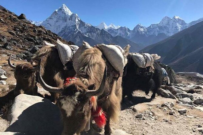 Everest Base Camp Trek 12 Days – Best Himalayan Adventure - Gorak Shep and Kala Patthar: the hard part, with a payoff
