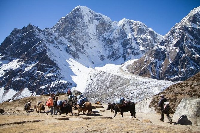 Everest Base Camp Trek with Helicopter Return to Lukla - 10 Days - Key highlights I’d circle on your planning sheet