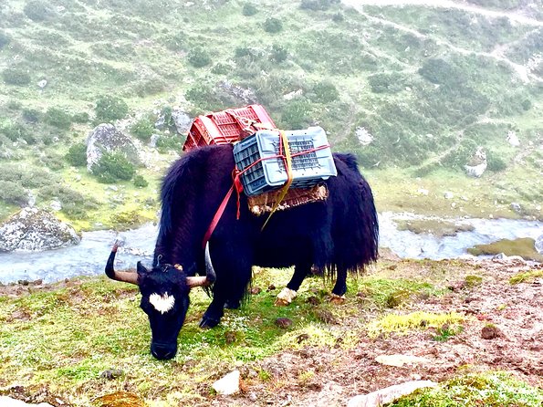 Everest View Trek - 7 Days - Namche Bazaar and Khumjung: culture that isn’t an afterthought