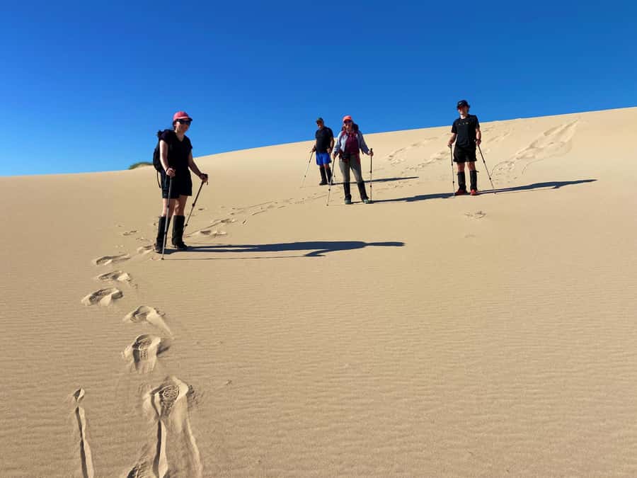 Exmouth: Cape Range Explorer One-Day Trekking Adventure - Key Things You’ll Notice on This Day Trek