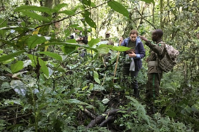 Experience Chimpanzee Trekking in Budongo Forest - Price and Value: Is $150 a Good Deal?