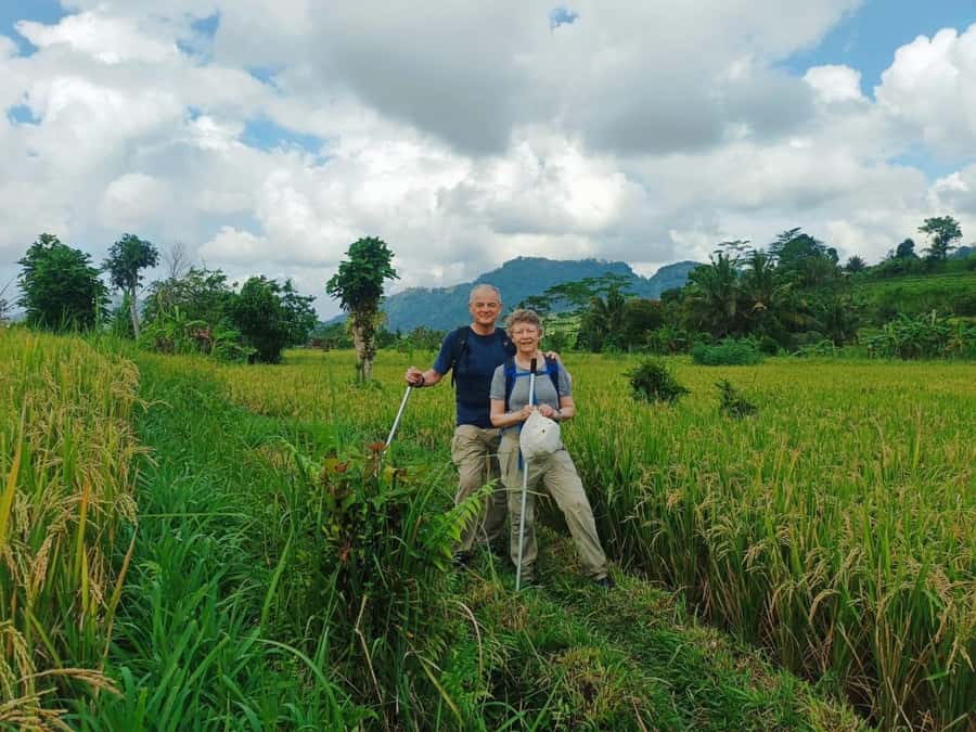 Explore rice terraces munduk & waterfall trekking experience - Rice Terraces and Waterfall in One 5-Hour Block: Why This Works