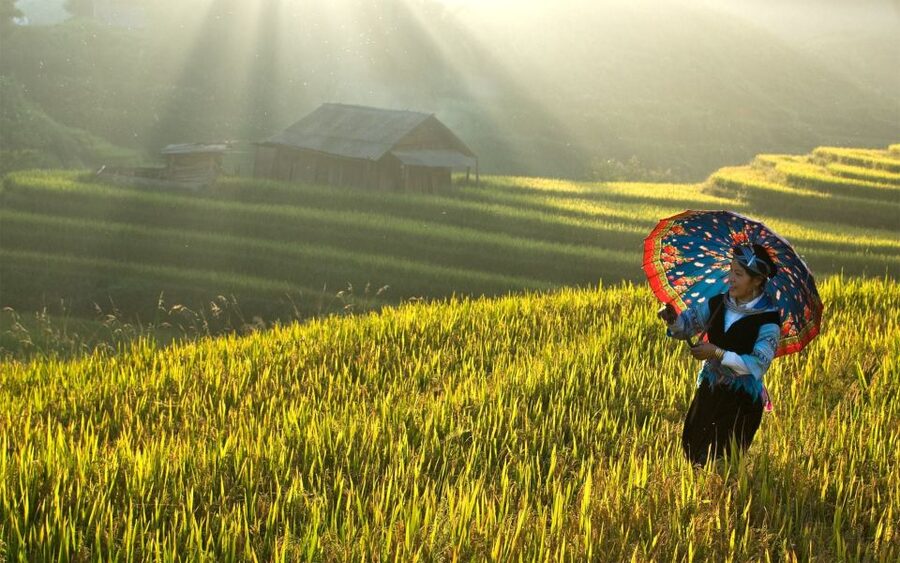 Explore Sa Pa with Overnight Train & Sleeper Bus & Trekking - The night train Hanoi to Lao Cai: the part you’ll remember