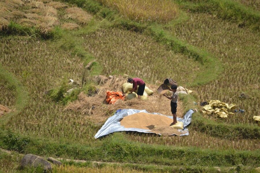 Explore Sa Pa with Overnight Train & Sleeper Bus & Trekking - Ma Tra–Ta Phin: a short trek with culture you can actually ask about