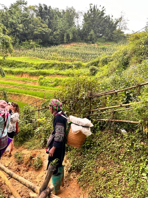 EXPLORE SAPA: 2D1N TREKKING & HMONG CULTURE WITH DINH - Day 2: bamboo forests, terraced rice, Giang Ta Chai waterfall, and a return to Sapa