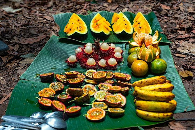 FAMILY JUNGLE TOUR: Orangutan Trek (4-hours hike) by EcoTravel Bukit Lawang - Who This Tour Suits Best (and Who Should Think Twice)