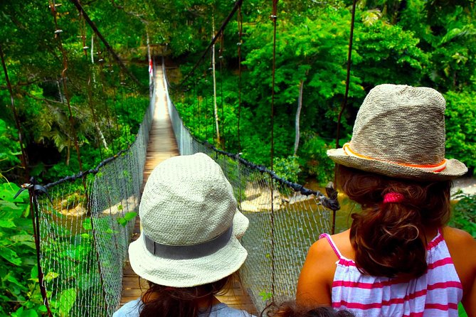 FAMILY JUNGLE TOUR: Orangutan Trek (4-hours hike) by EcoTravel Bukit Lawang - Gunung Leuser National Park: What You Actually Do on the Walk