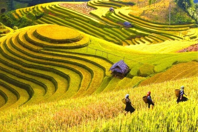 Fansipan Mountain, Cat Cat Village, Rice Terrace 2 Day Sapa Tour - Who This 2-Day Sapa Tour Fits Best