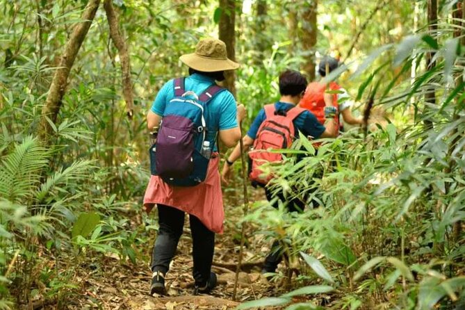 Fansipan Trek One Day Tour – Roof of Indochina - Should you book this Fansipan One Day Tour?