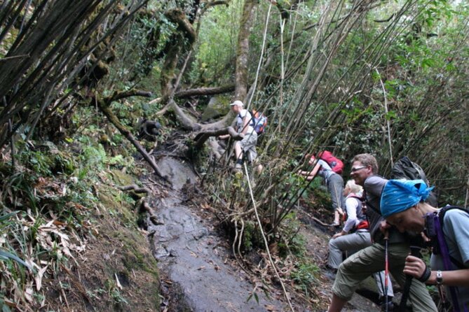 Fansipan Trek One Day Tour – Roof of Indochina - Summit around noon: views, photos, and the Fansipan certificate
