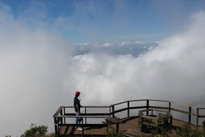 Fantastic! Famous Doi Inthanon National park tour with 2hr trekking - Ban Mae Klang Luang: Karen Hill Tribe village life, weaving, and organic coffee