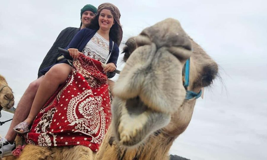 From Agadir: Camel Ride and Flamingo Trek - Key Things to Know Before You Go