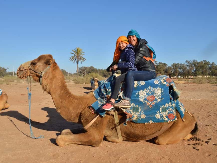 From Agadir: Camel Ride and Flamingo Trek - From Agadir to the Souss River: Why This Ride Feels Special
