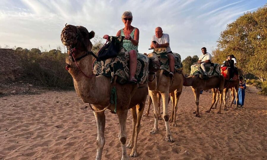 From Agadir: Camel Ride and Flamingo Trek - Flamingo Trek: What You Should Expect Along the Souss River
