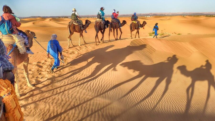 From Agadir: Camel Ride and Flamingo Trek - Getting There From Agadir: Pickup That Actually Works