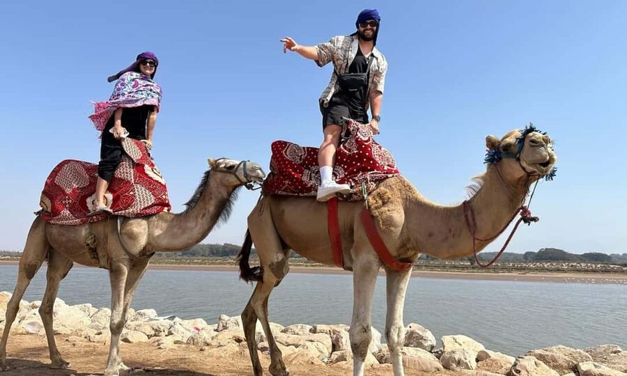 From Agadir: Camel Ride and Flamingo Trek - The End-of-Ride Tea Break, Photos, and Cash Tips to Know