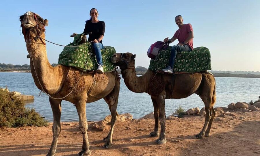 From Agadir: Camel Ride and Flamingo Trek - Should You Book the Camel Ride and Flamingo Trek?