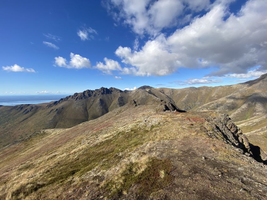 From Anchorage: Chugach State Park Guided Alpine Trek - Key things I’d pay attention to