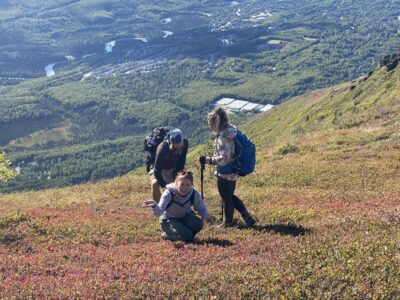 From Anchorage: Chugach State Park Guided Alpine Trek - The 5-hour alpine trek: what the hike actually demands