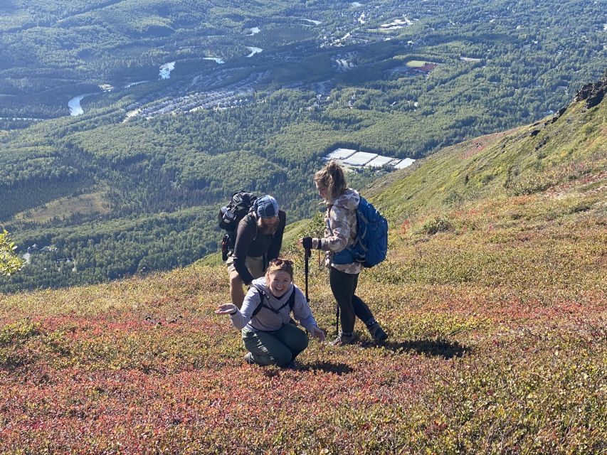 From Anchorage: Chugach State Park Guided Alpine Trek - The 5-hour alpine trek: what the hike actually demands