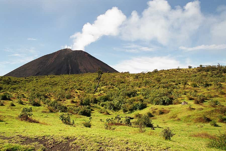 From Antigua: Pacaya Volcano Trek - Marshmallows on Volcanic Heat: A Small Moment That Lands Big