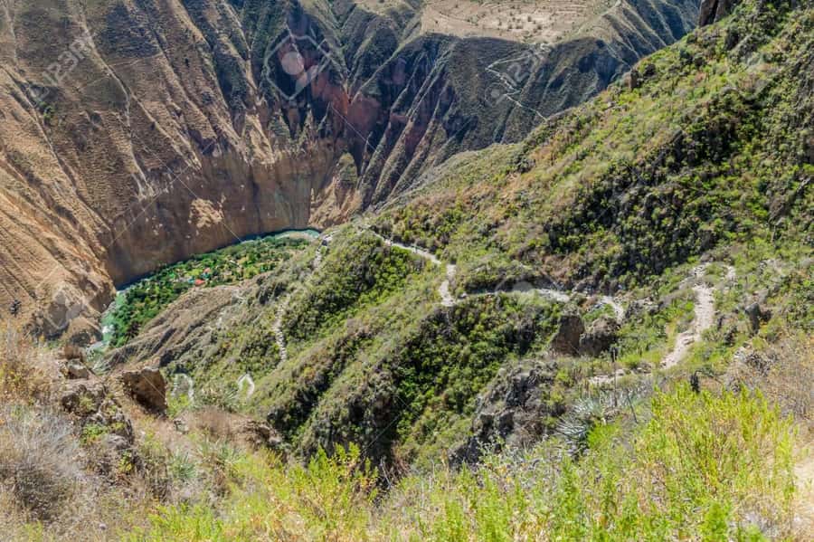 From Arequipa: 2-Day Colca Canyon Trekking Tour - Why Colca Canyon Condor Viewing Starts So Early