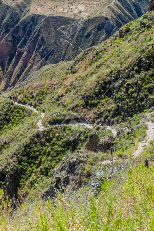From Arequipa: 2-Day Colca Canyon Trekking Tour - Difficulty level: 24 km of walking and an uphill day two