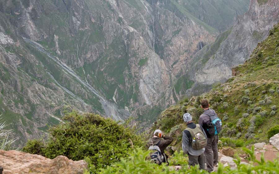 From Arequipa: 2-Day Colca Canyon Trekking Tour - The 3 a.m. hotel pickup, bus ride, and Cruz del Cóndor stops